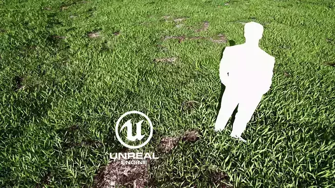 Realistic Grass 07 - UE4 Asset and FBX Files Low-poly 3D model