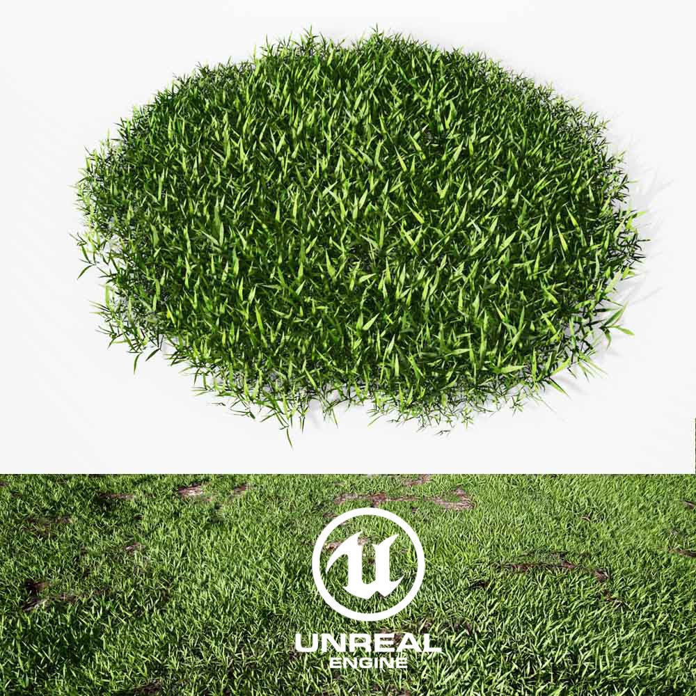 Realistic Grass 07 - UE4 Asset and FBX Files Low-poly 3D model_1