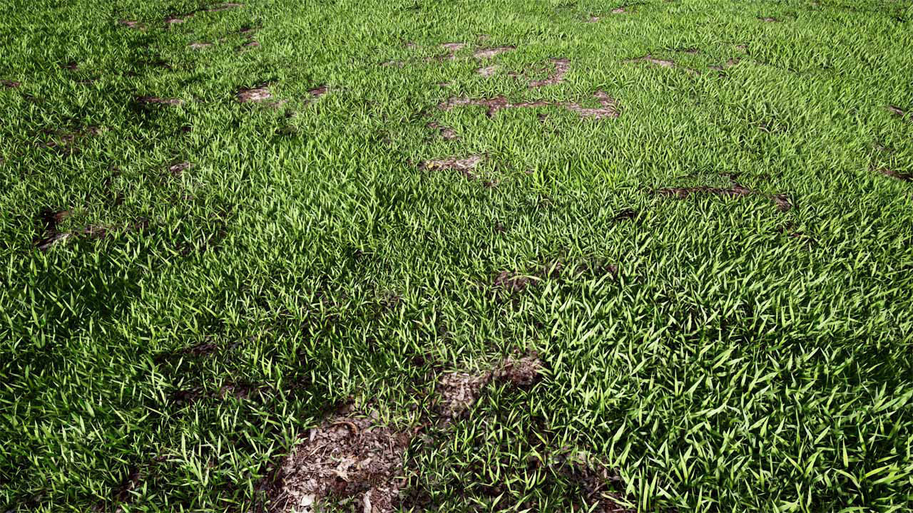 Realistic Grass 07 - UE4 Asset and FBX Files Low-poly 3D model_2
