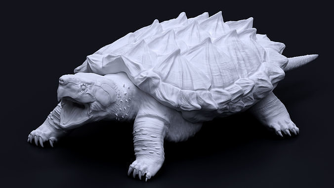 Alligator snapping turtle 3D print model