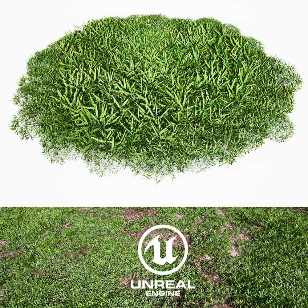 Realistic Grass 08 - UE4 Asset and FBX Files Low-poly 3D model_1