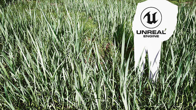 Realistic Grass 09 - UE4 Asset and FBX Files Low-poly 3D model