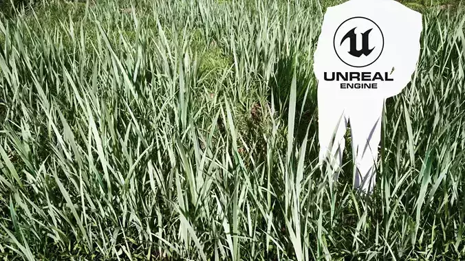 Realistic Grass 09 - UE4 Asset and FBX Files
