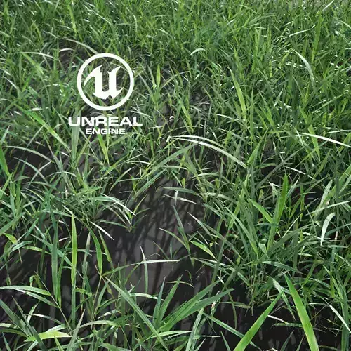 Realistic Grass 10 - UE4 Asset and FBX Files Low-poly 3D model