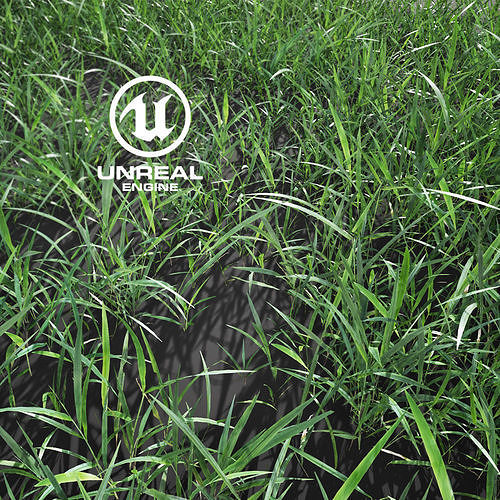 Realistic Grass 10 - UE4 Asset and FBX Files Low-poly 3D model