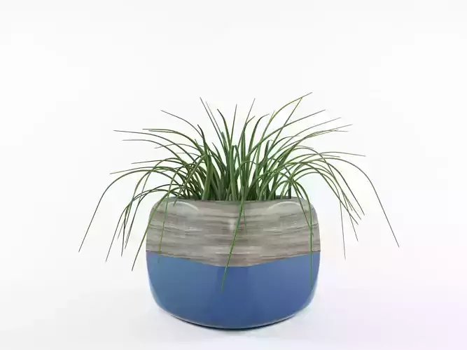 Plant planter with grass in it