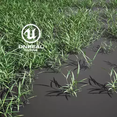 Realistic Grass 11 - UE4 Asset and FBX Files Low-poly 3D model