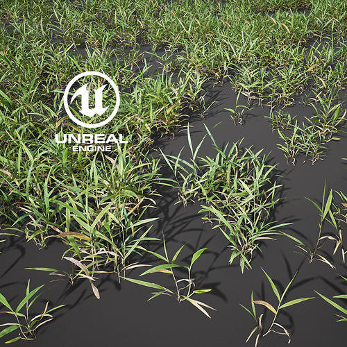 Realistic Grass 12 - UE4 Asset and FBX Files Low-poly 3D model