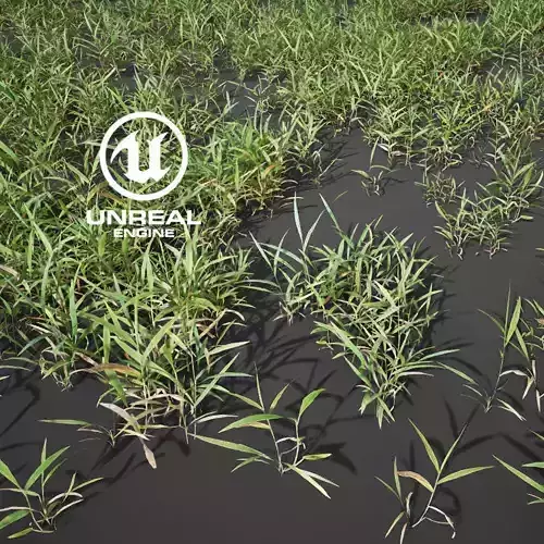 Realistic Grass 12 - UE4 Asset and FBX Files