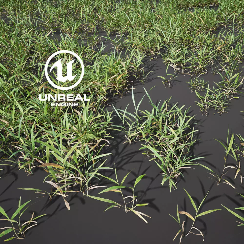 Realistic Grass 12 - UE4 Asset and FBX Files Low-poly 3D model_0