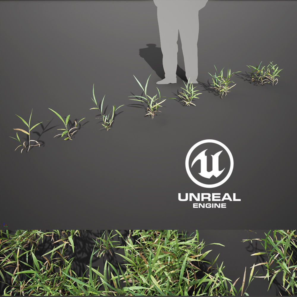 Realistic Grass 12 - UE4 Asset and FBX Files Low-poly 3D model_2