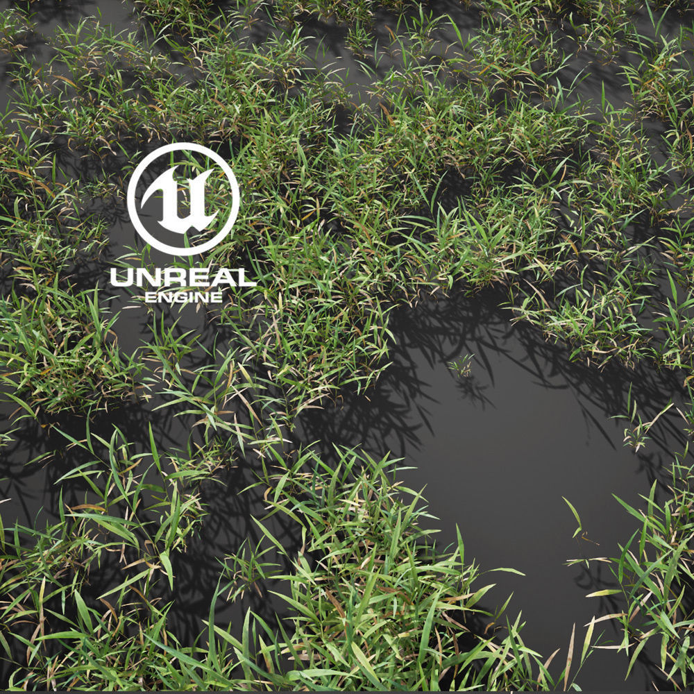 Realistic Grass 12 - UE4 Asset and FBX Files Low-poly 3D model_1