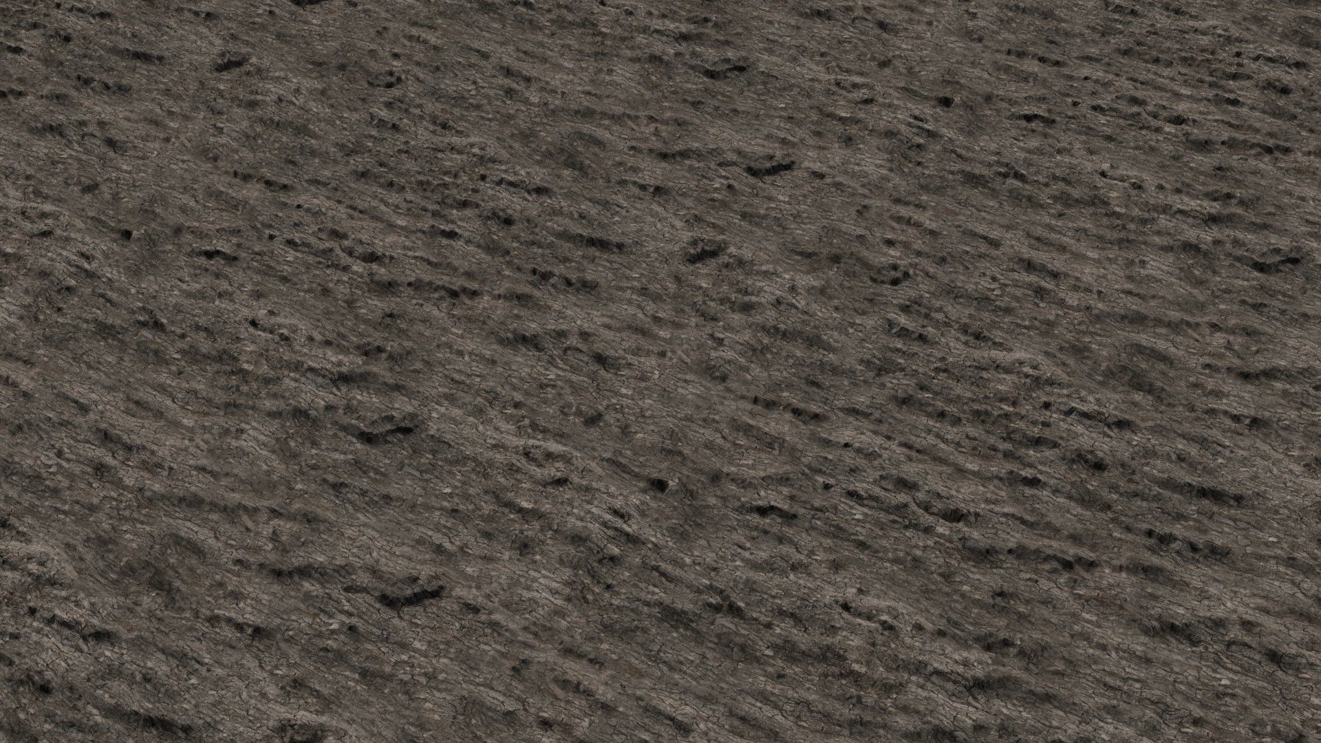 Oak Tree Bark Photoscanned Texture Seamless Texture_3