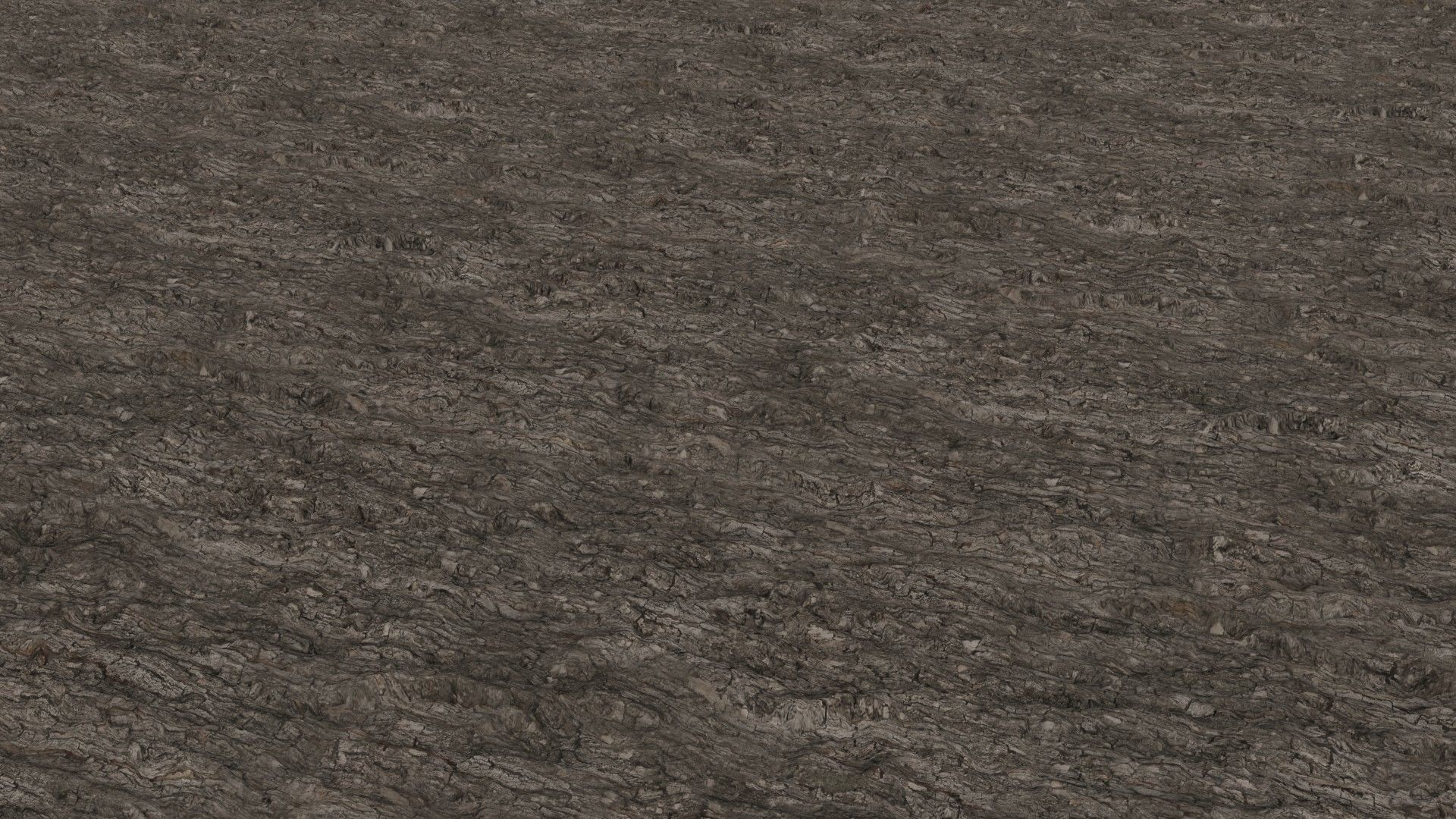 Oak Tree Bark Photoscanned Texture Seamless Texture_2