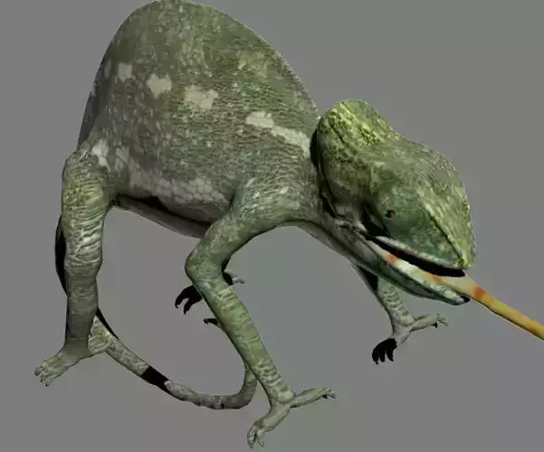 REPTILE lizard 3D model