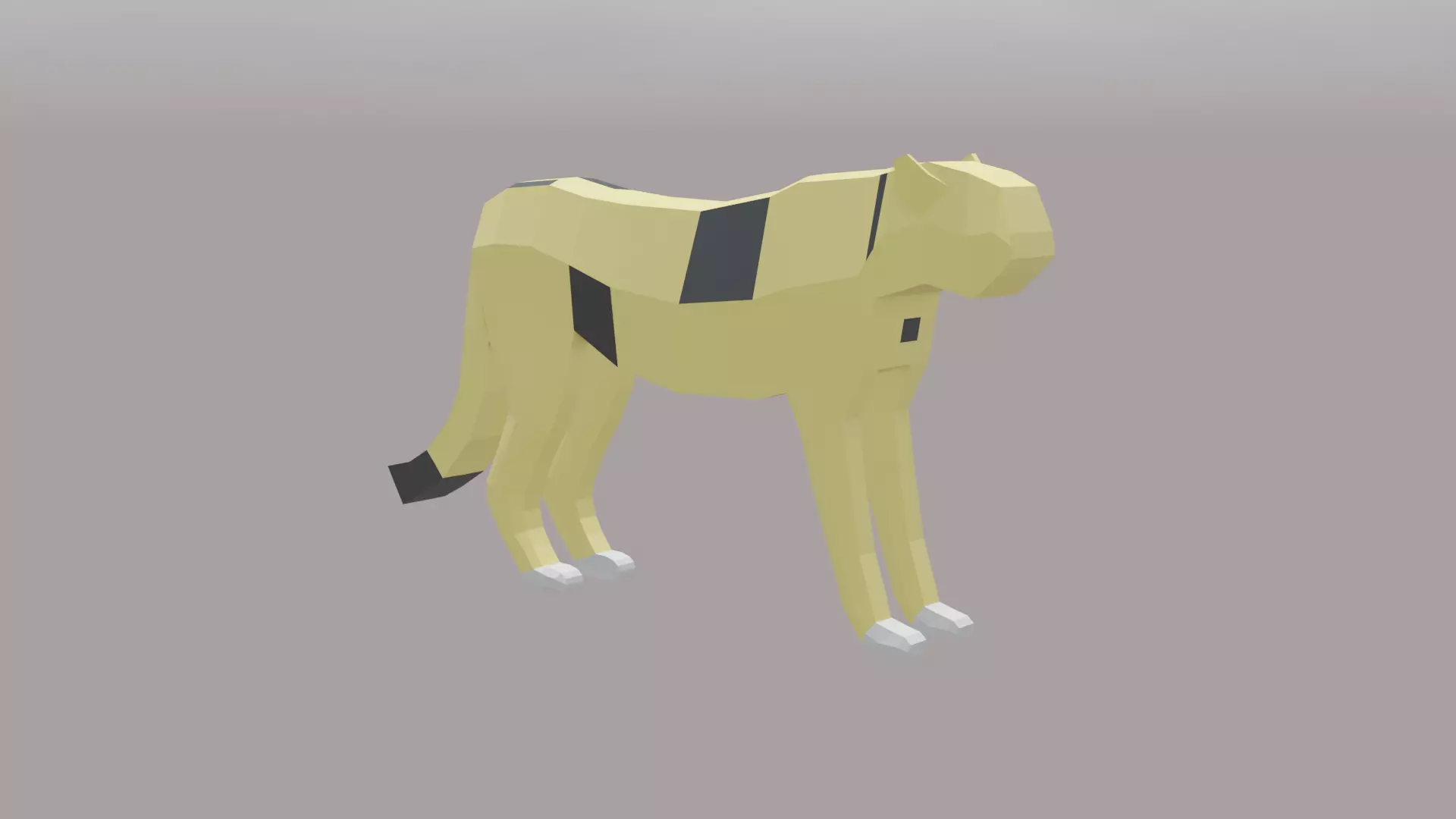 Cheetah Free low-poly 3D model