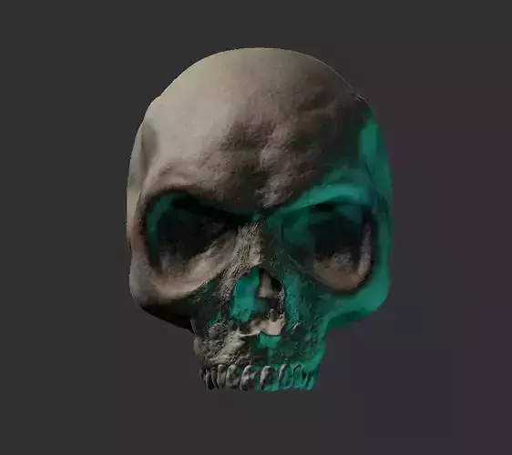 Skull Head 