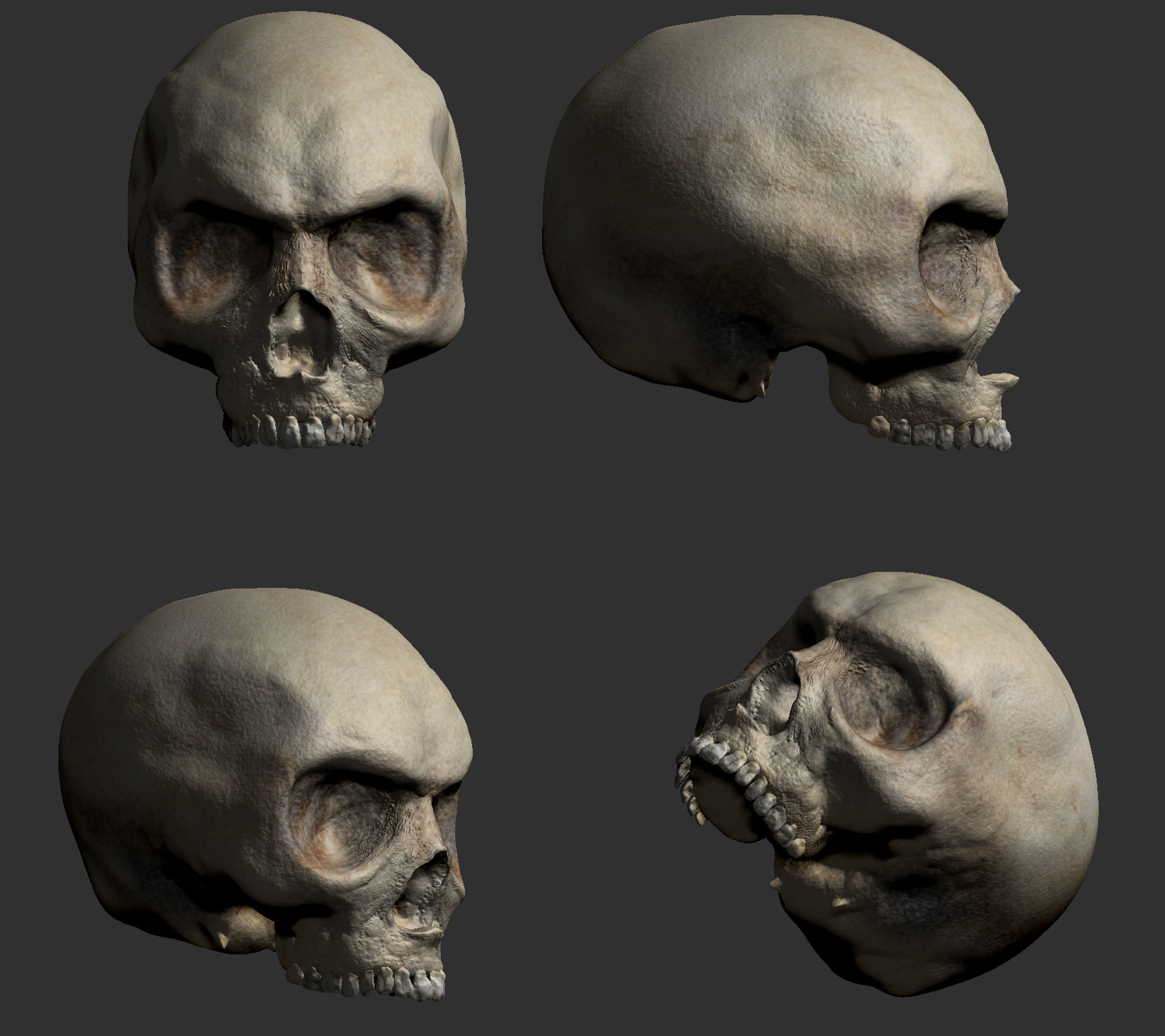 Skull Head  3D print model_1