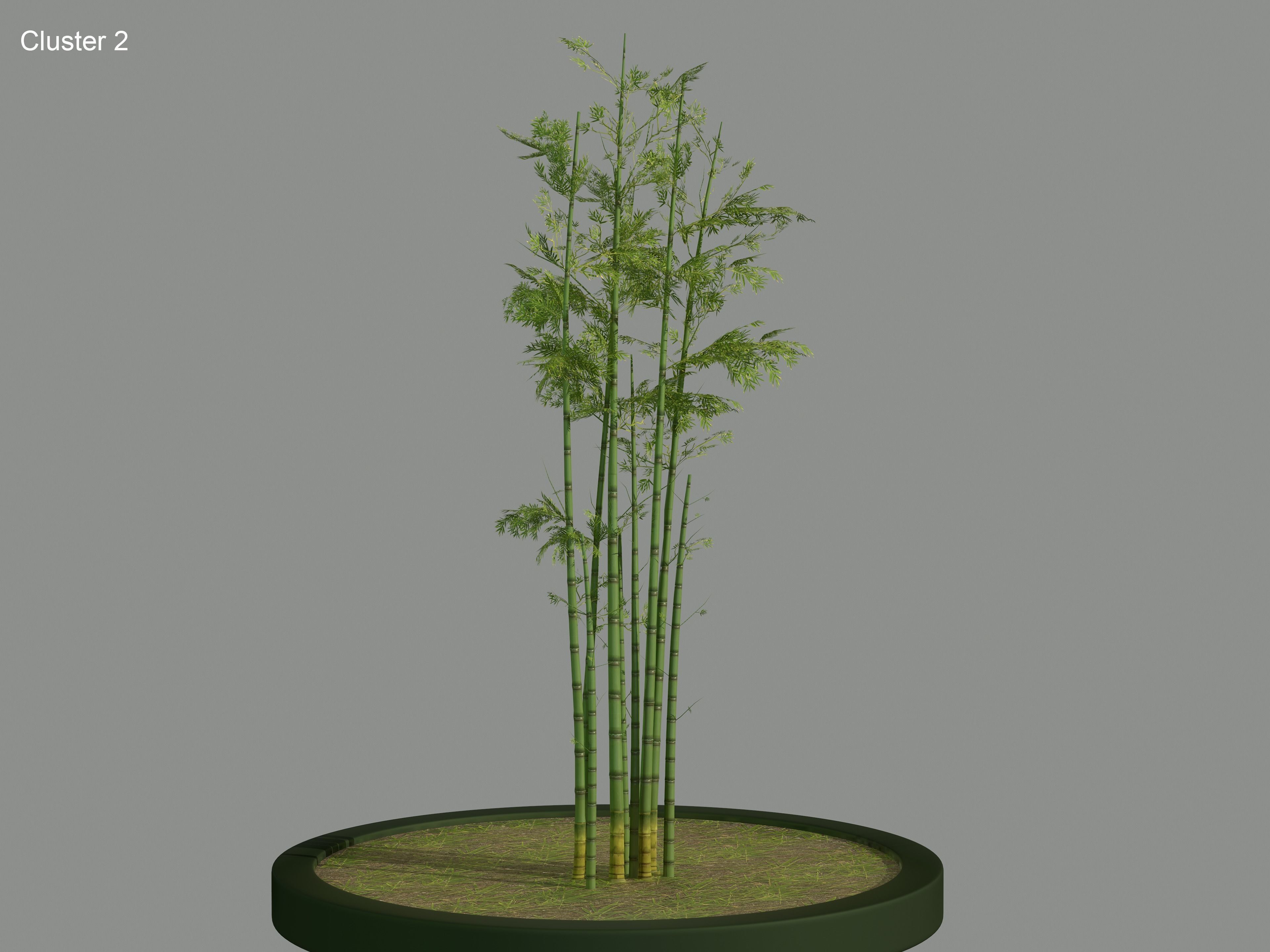 Nature Assets - Bamboo Pack Low-poly 3D model_4