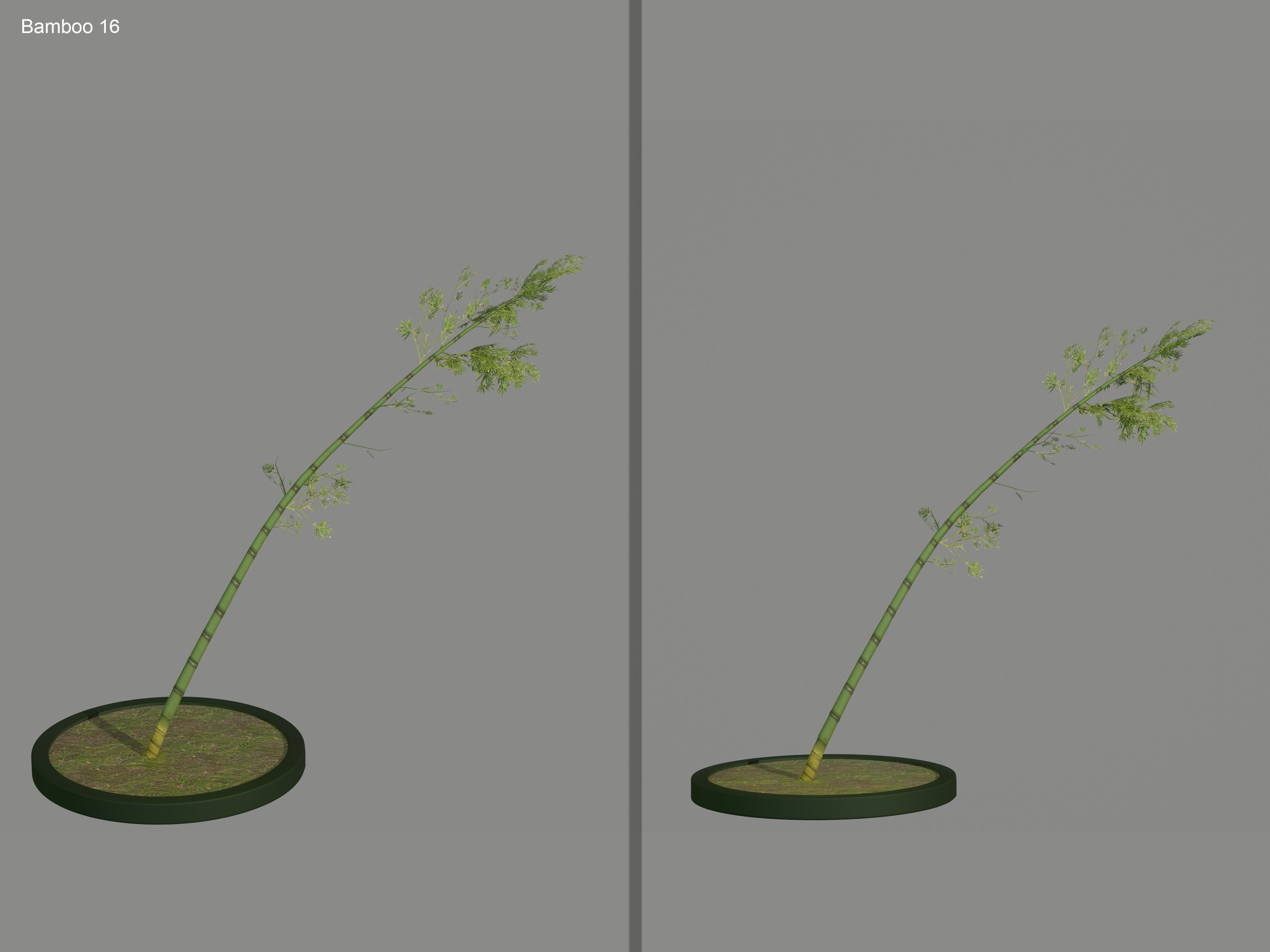 Nature Assets - Bamboo Pack Low-poly 3D model_20