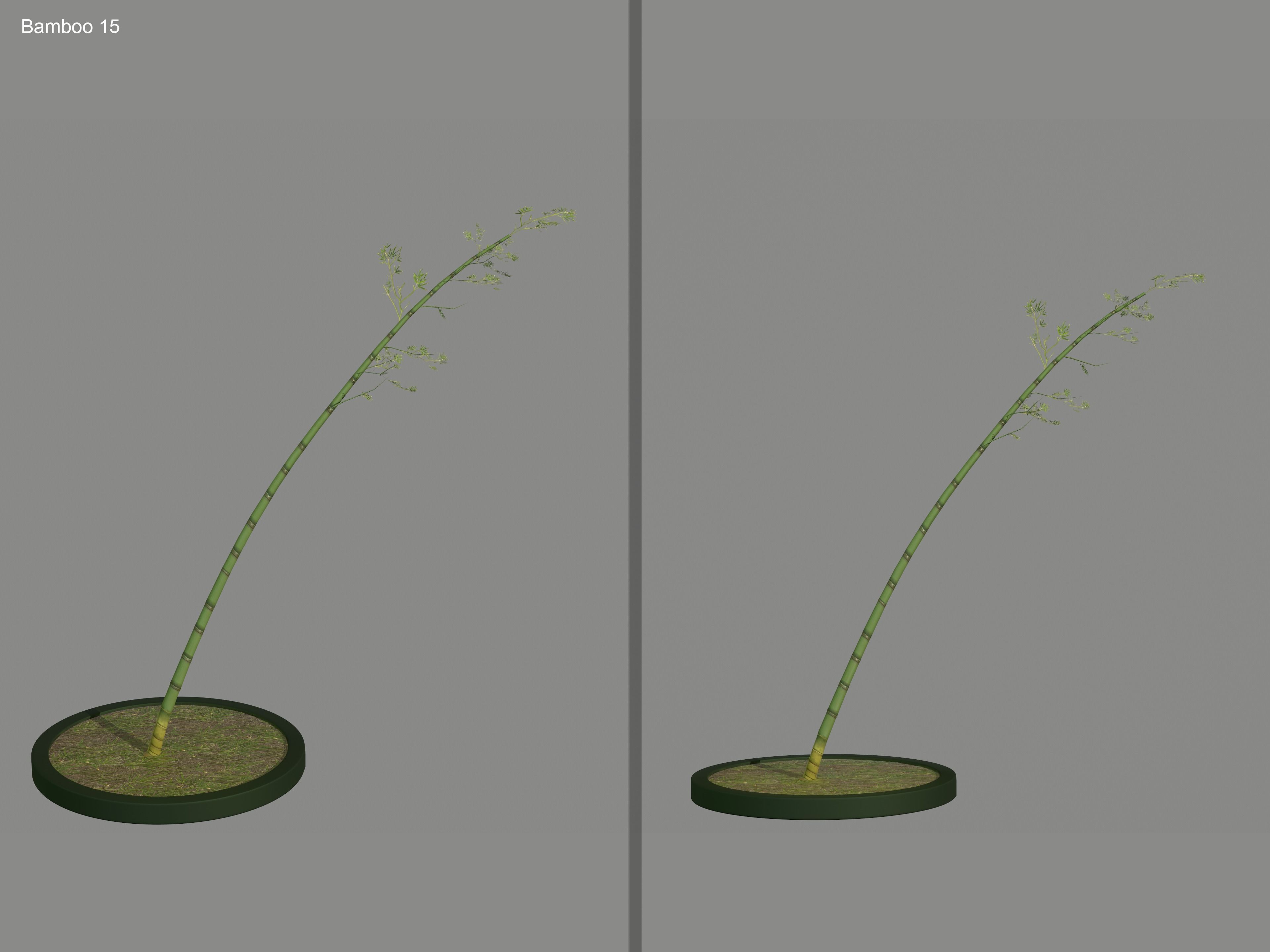 Nature Assets - Bamboo Pack Low-poly 3D model_19