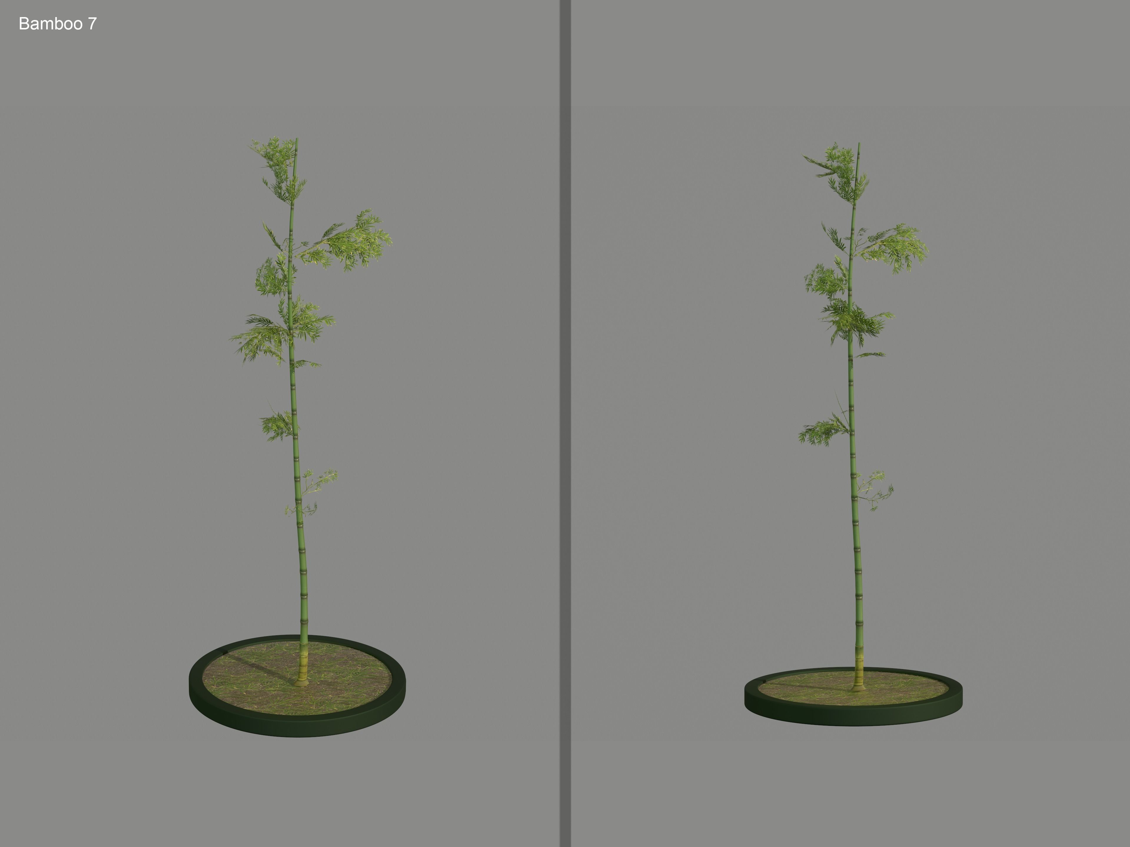 Nature Assets - Bamboo Pack Low-poly 3D model_11