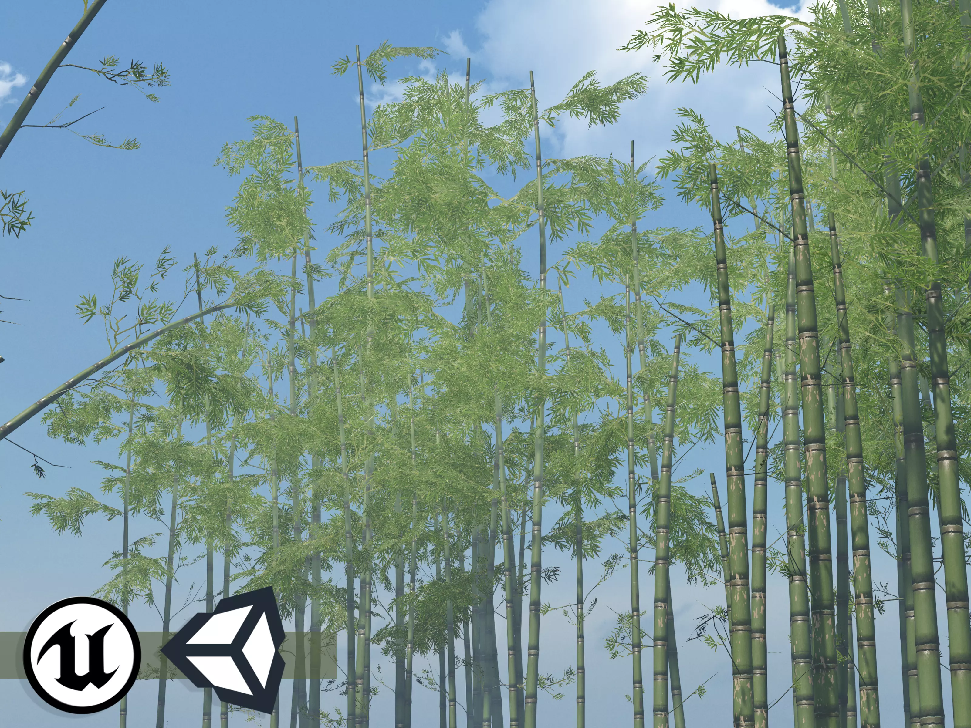 Nature Assets - Bamboo Pack Low-poly 3D model_0