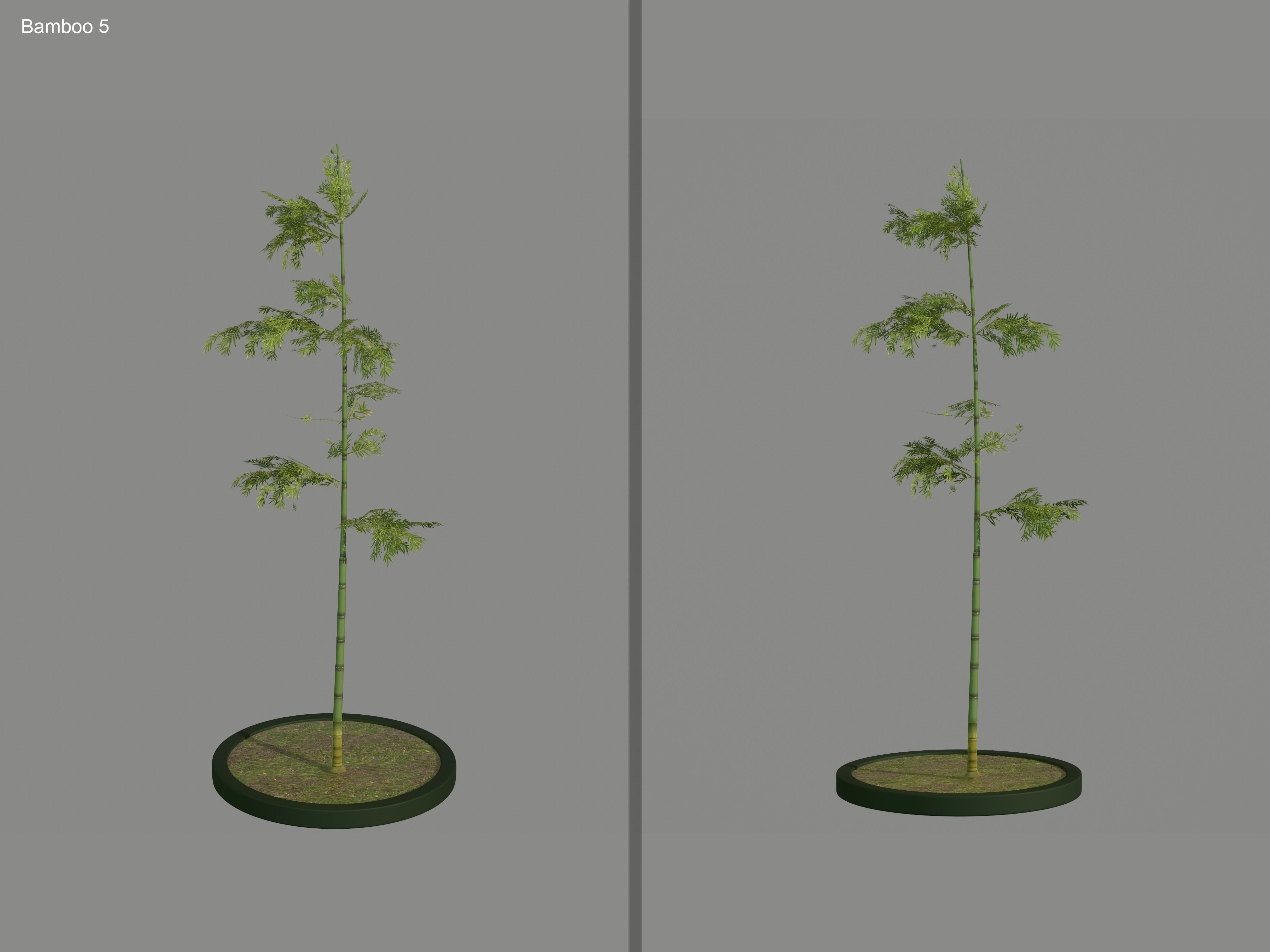 Nature Assets - Bamboo Pack Low-poly 3D model_9