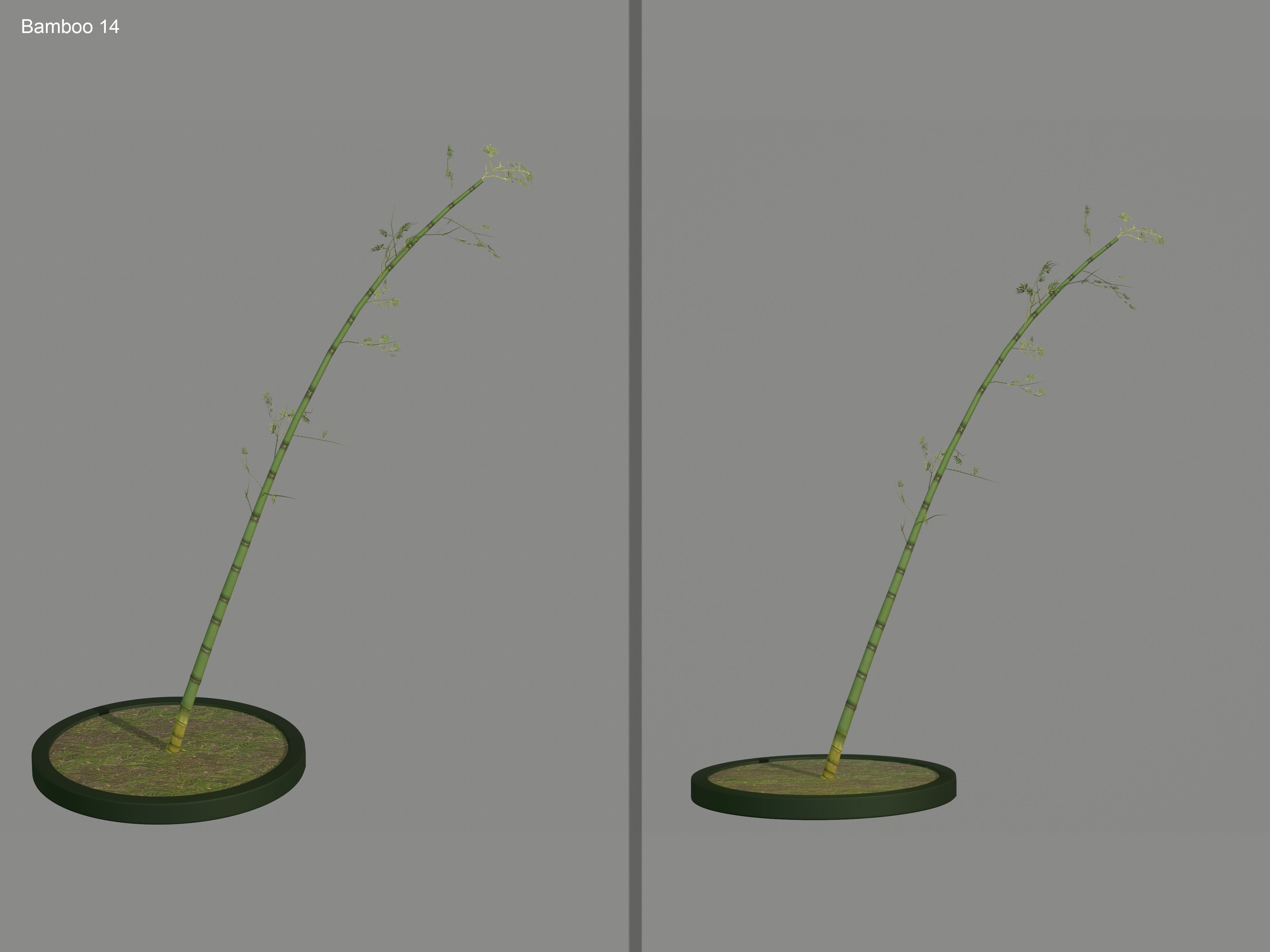 Nature Assets - Bamboo Pack Low-poly 3D model_18