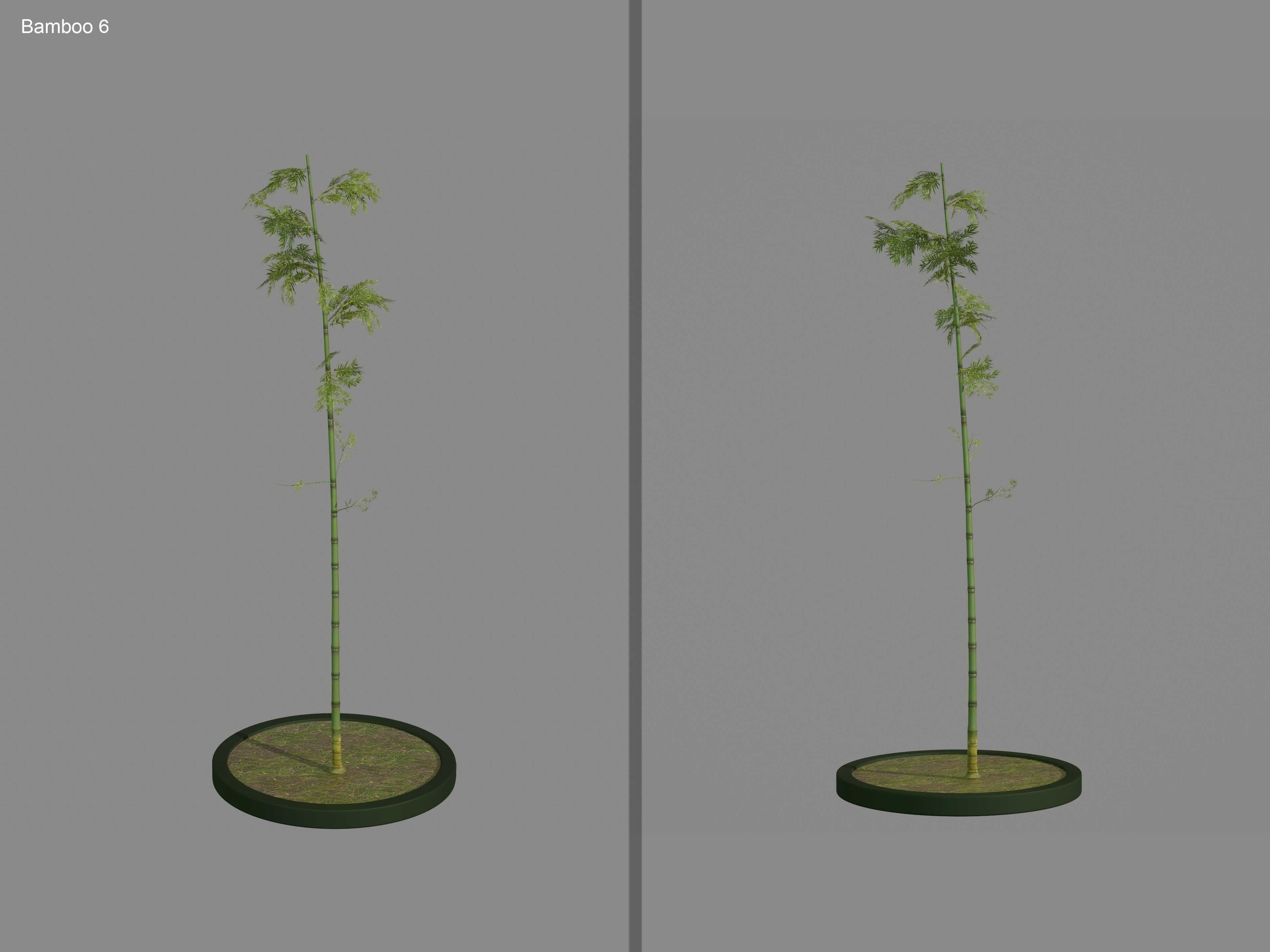 Nature Assets - Bamboo Pack Low-poly 3D model_10