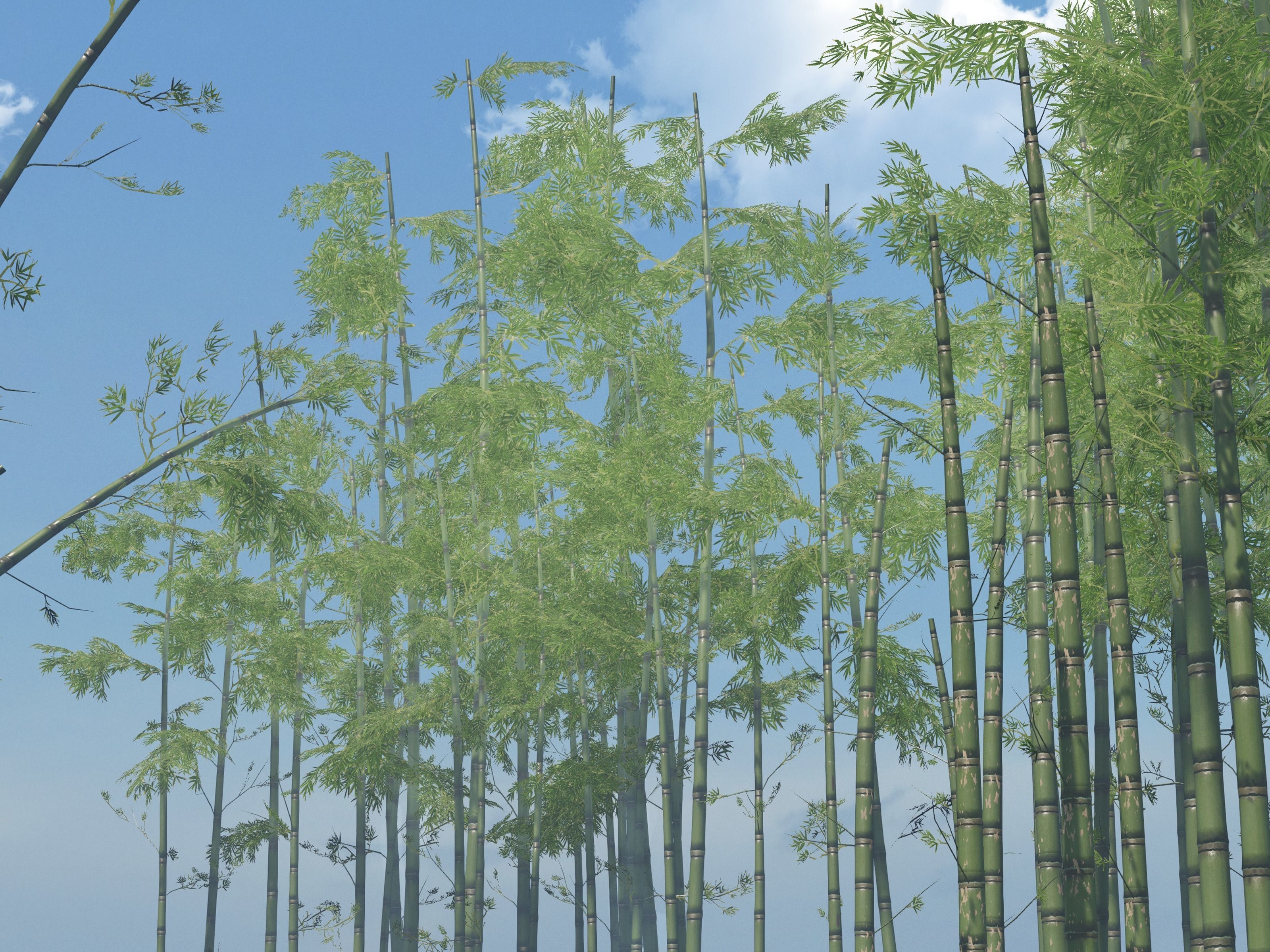 Nature Assets - Bamboo Pack Low-poly 3D model_22