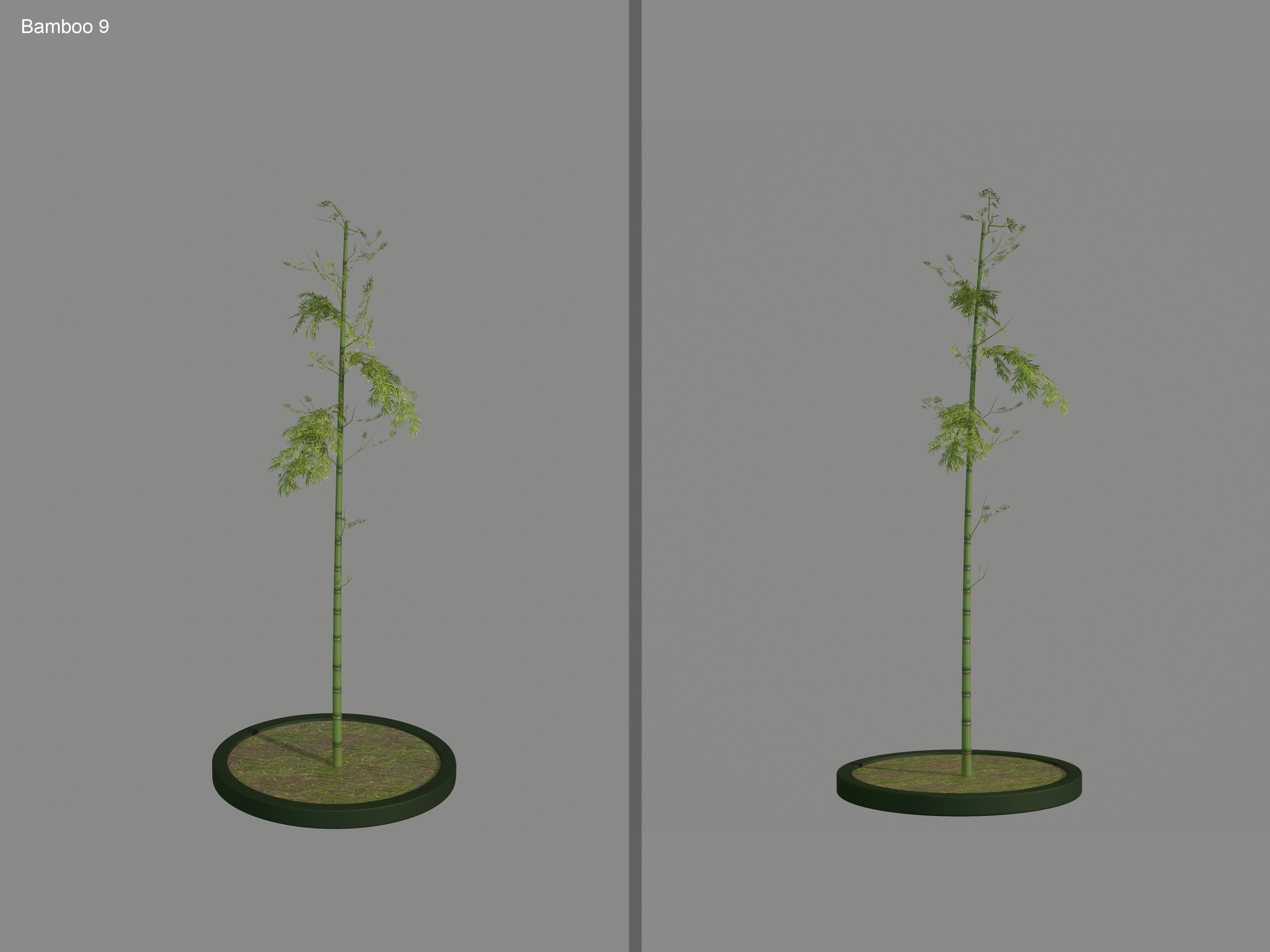 Nature Assets - Bamboo Pack Low-poly 3D model_13