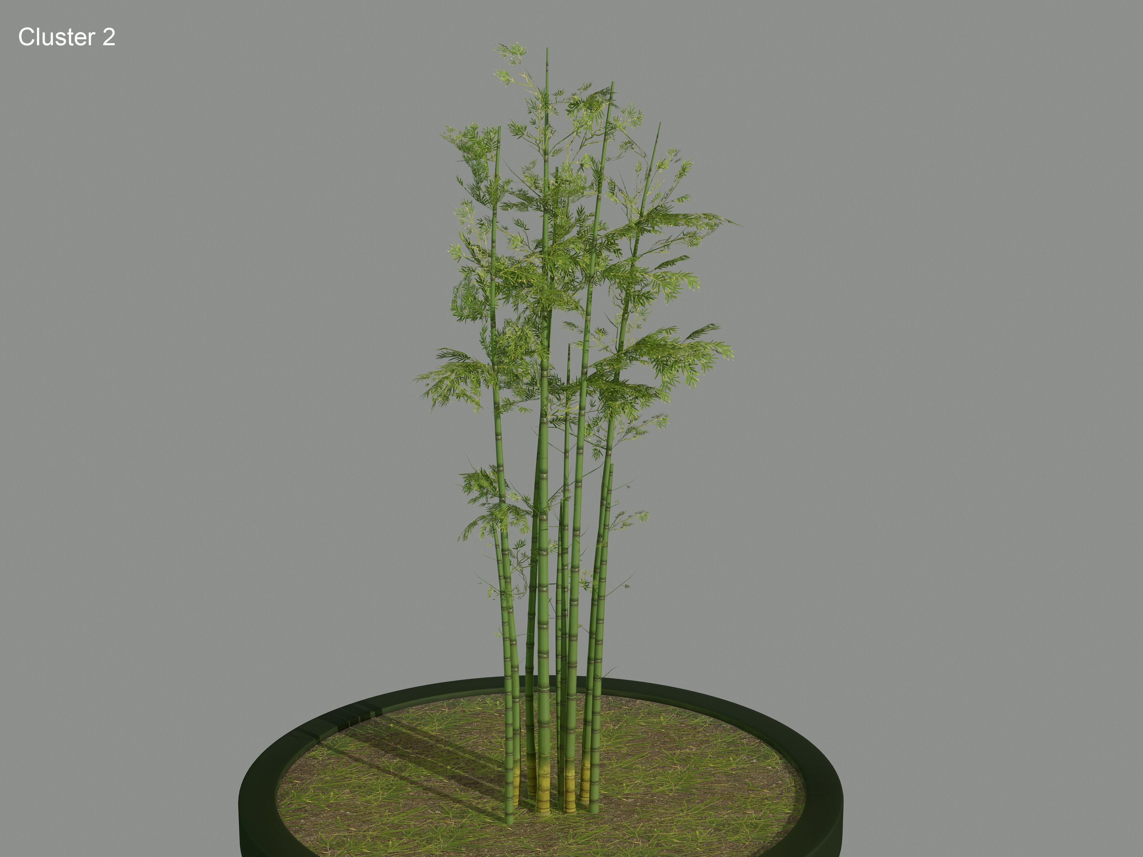 Nature Assets - Bamboo Pack Low-poly 3D model_3