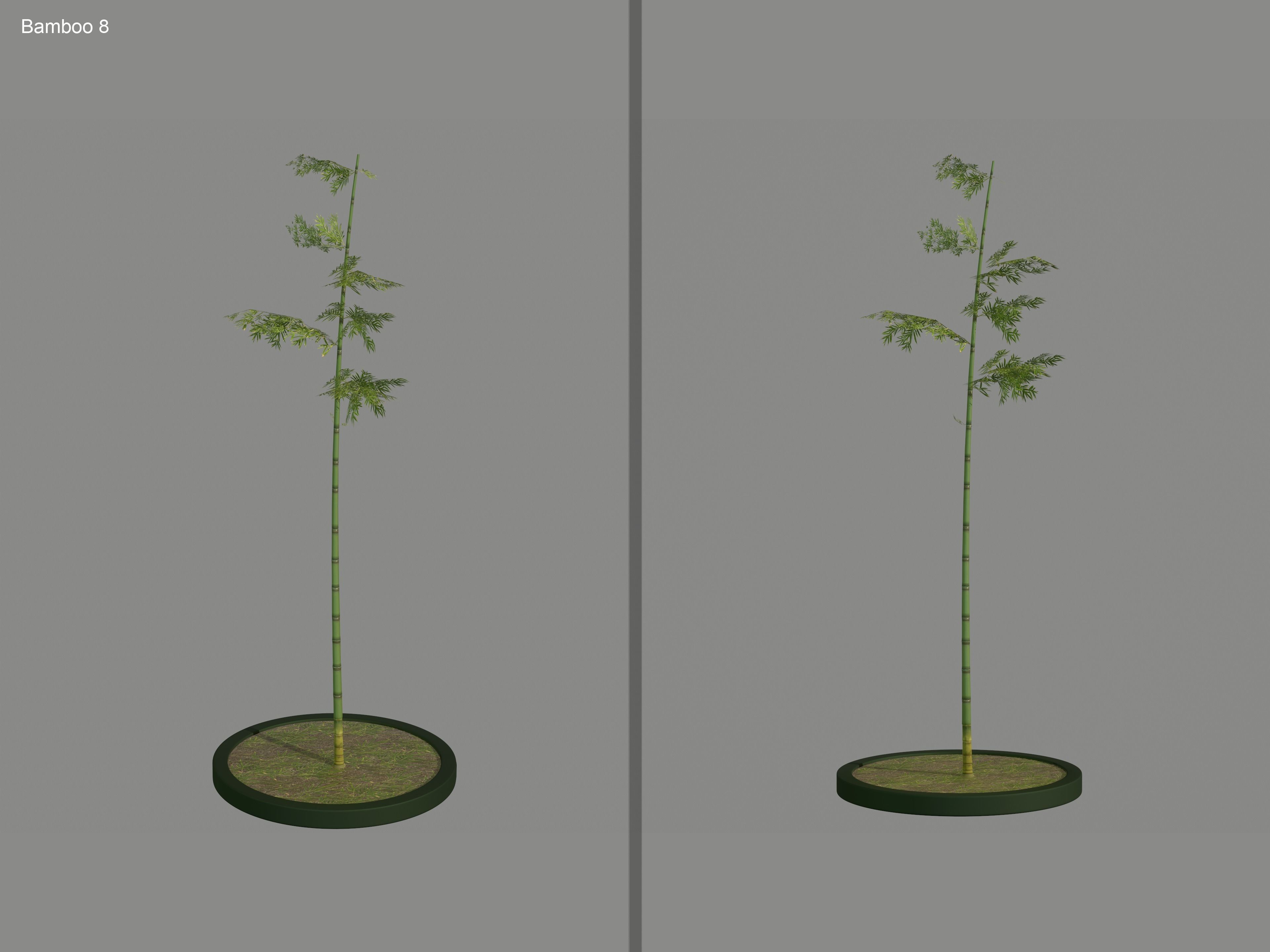 Nature Assets - Bamboo Pack Low-poly 3D model_12