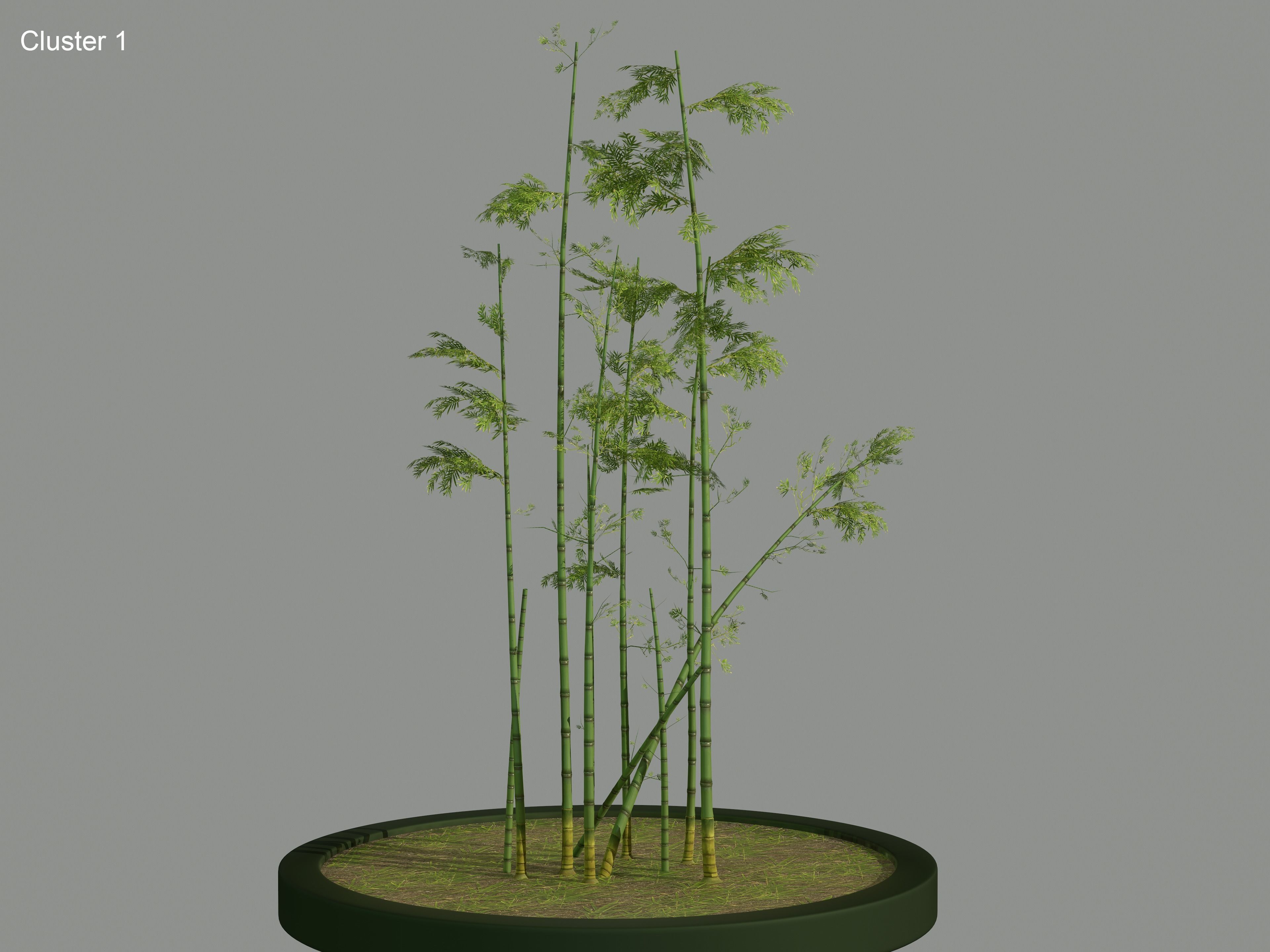 Nature Assets - Bamboo Pack Low-poly 3D model_1