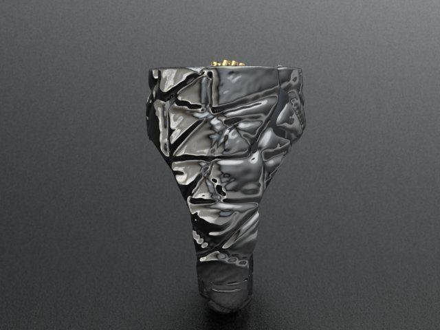 skull ring 01 No 3D print model_20