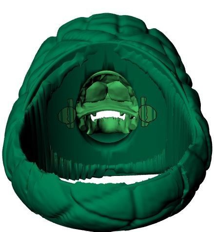 skull ring 01 No 3D print model_15