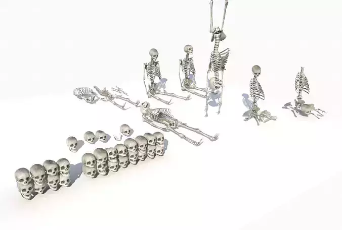 Skeletons and bones pack  PBR Low-poly 3D model