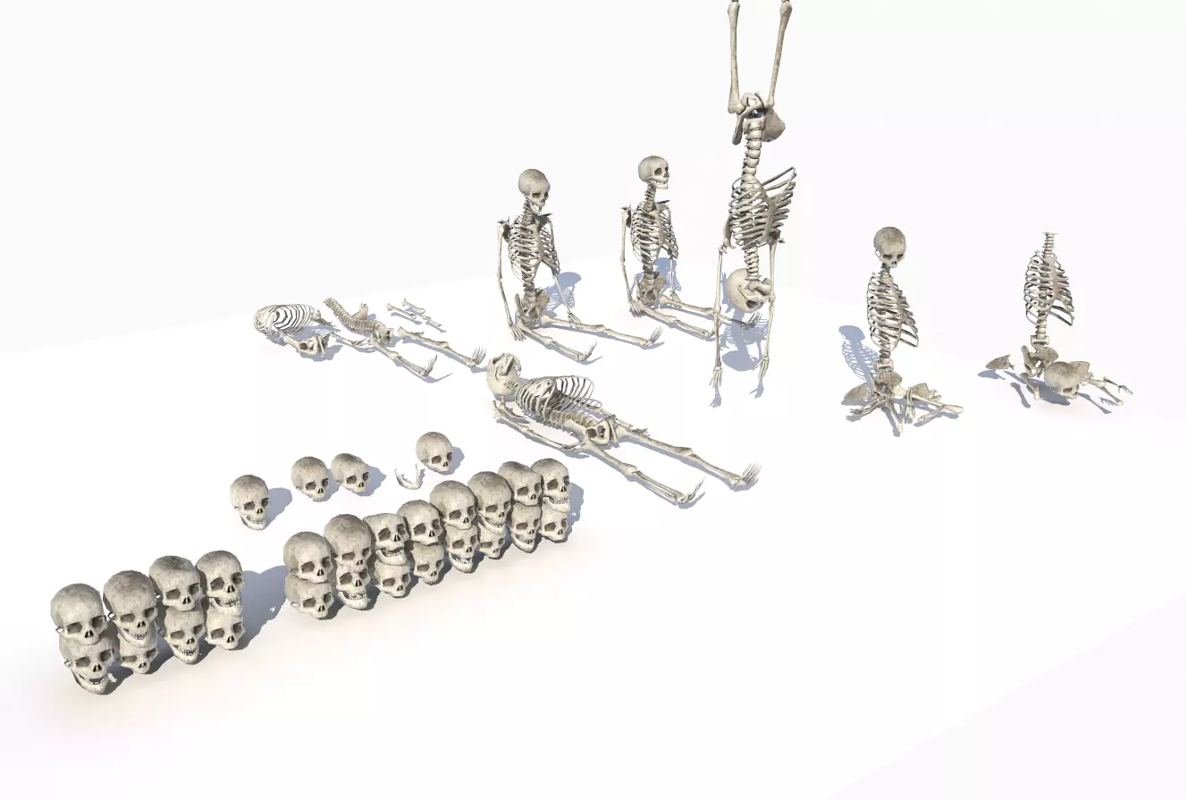 Skeletons and bones pack PBR Low-poly 3D model