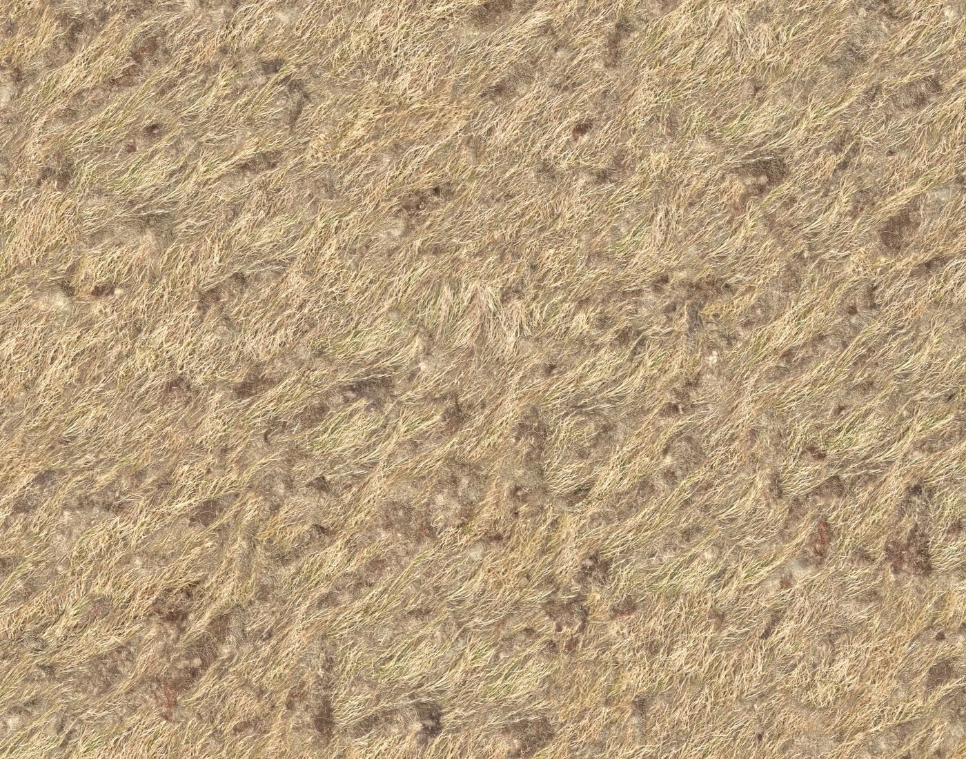Dry grass field PBR Texture_4
