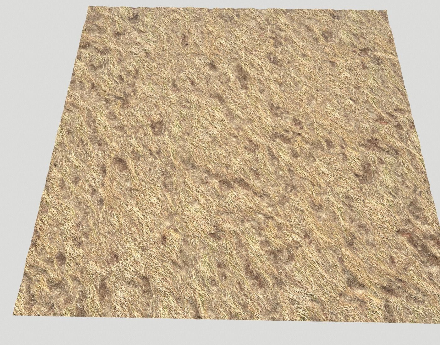 Dry grass field PBR Texture_5