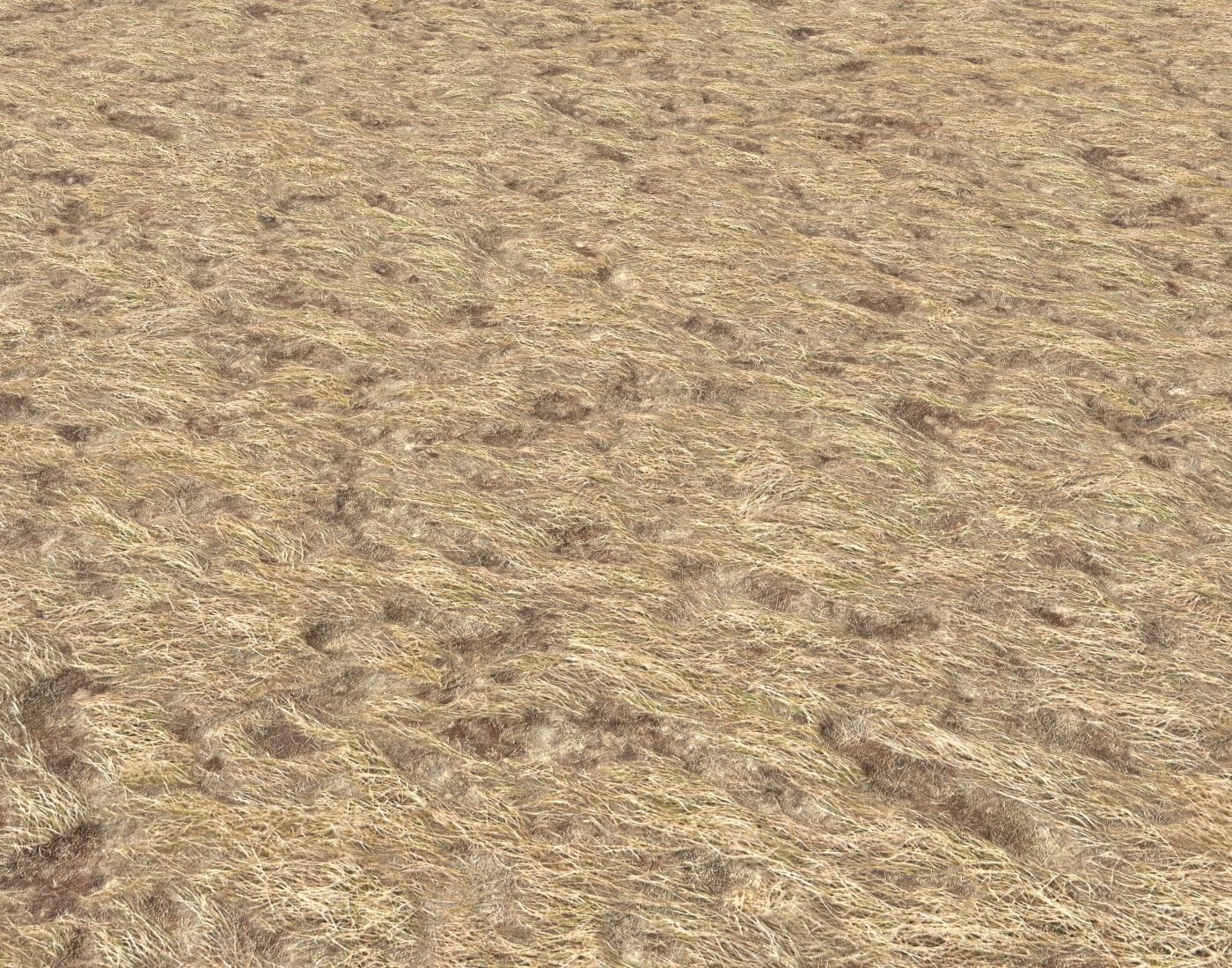 Dry grass field PBR Texture_2