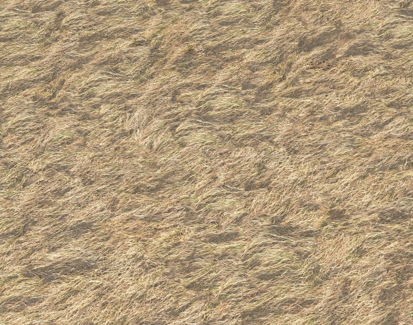 Dry grass field 2 PBR Texture_4