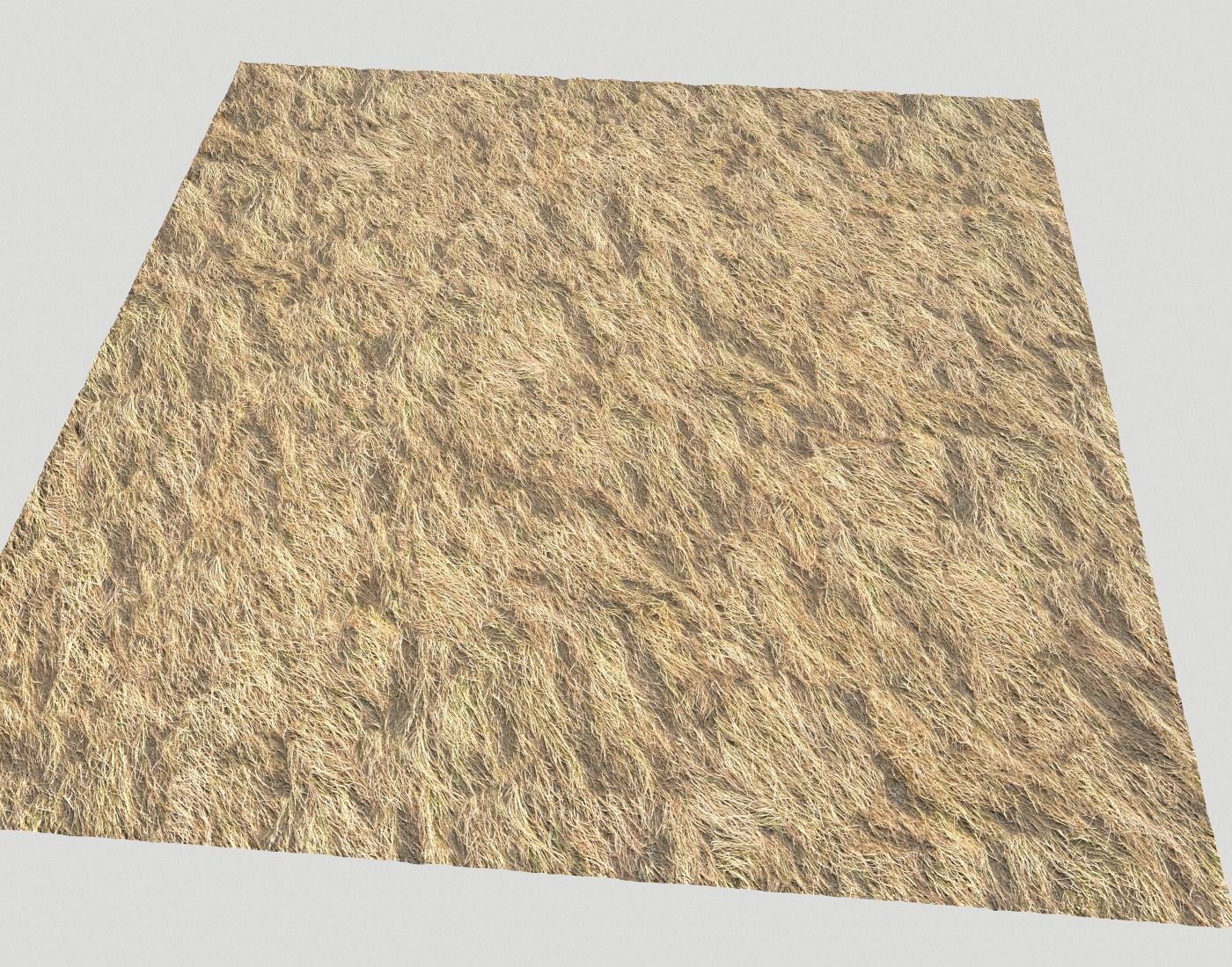 Dry grass field 2 PBR Texture_6