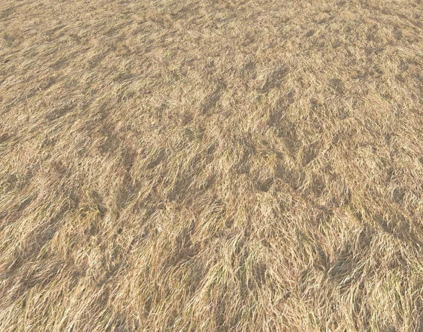 Dry grass field 2 PBR Texture_2