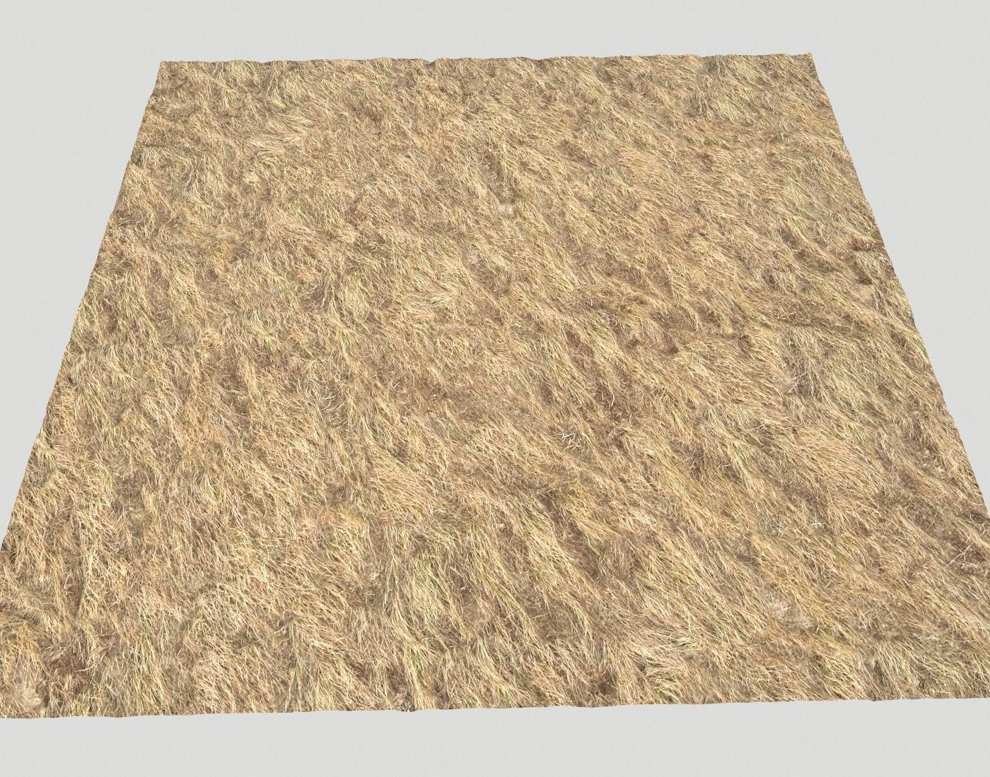 Dry grass field 4 PBR Texture_5