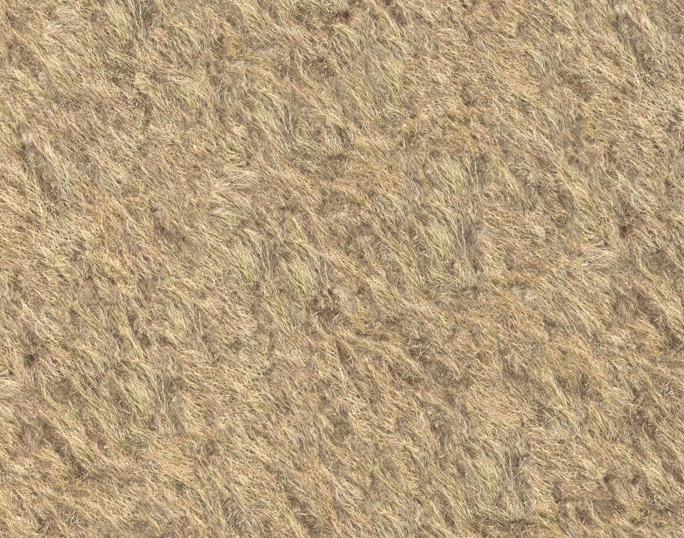 Dry grass field 4 PBR Texture_4