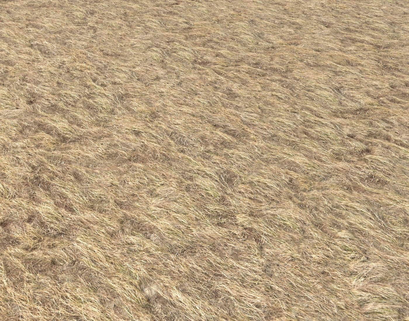 Dry grass field 4 PBR Texture_2