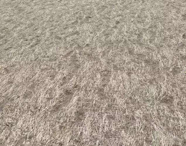 Dry grass field 6 PBR