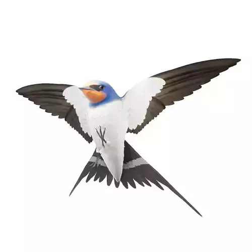 Barn Swallow Hirundo Rustica Low-poly 3D model